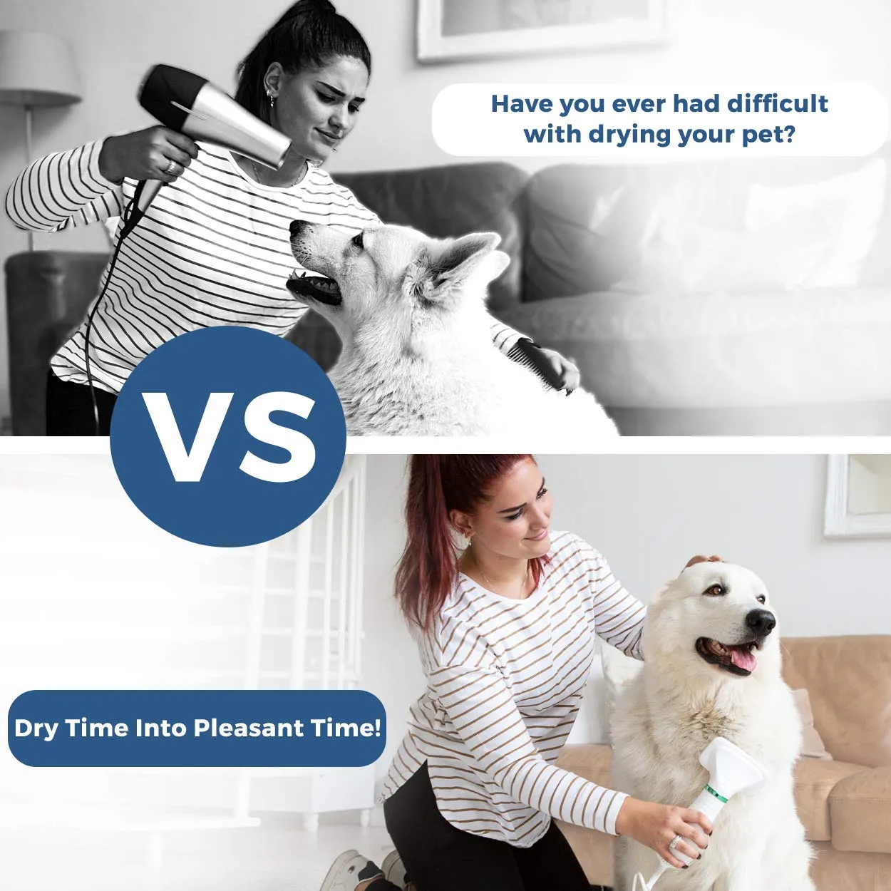 2 in 1 Pet Hair Dryer with Slicker Brush