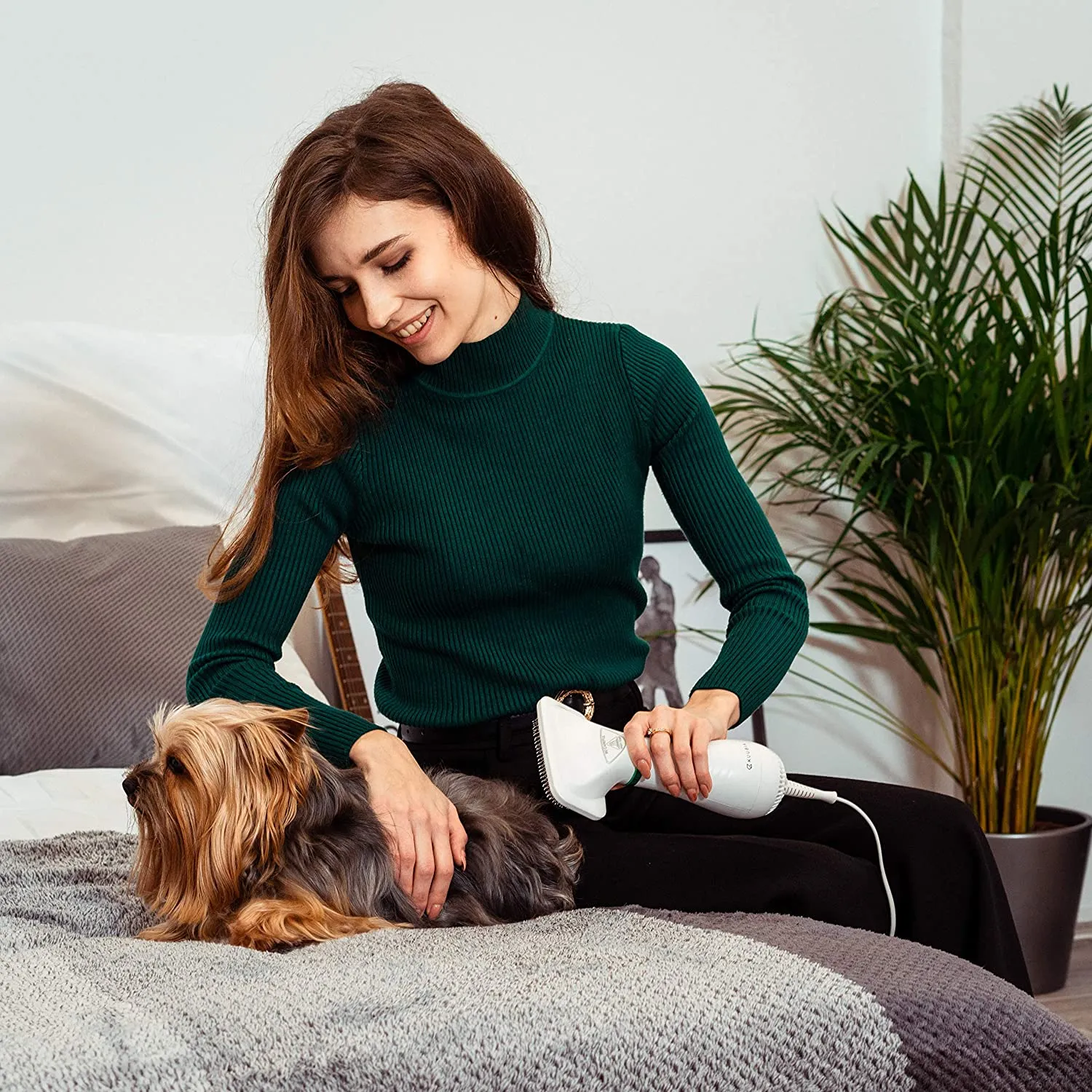 2 in 1 Pet Hair Dryer with Slicker Brush