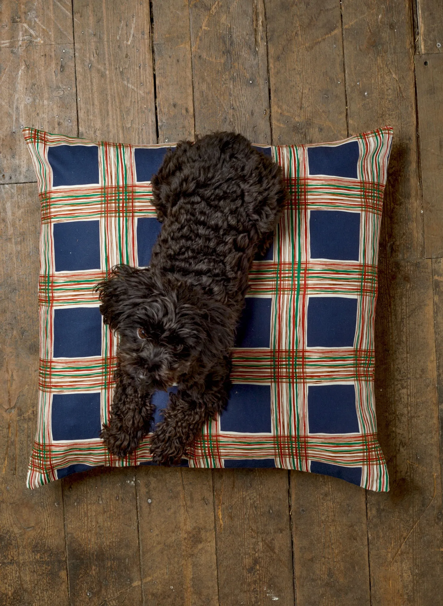 Dog Bed - Navy Checks