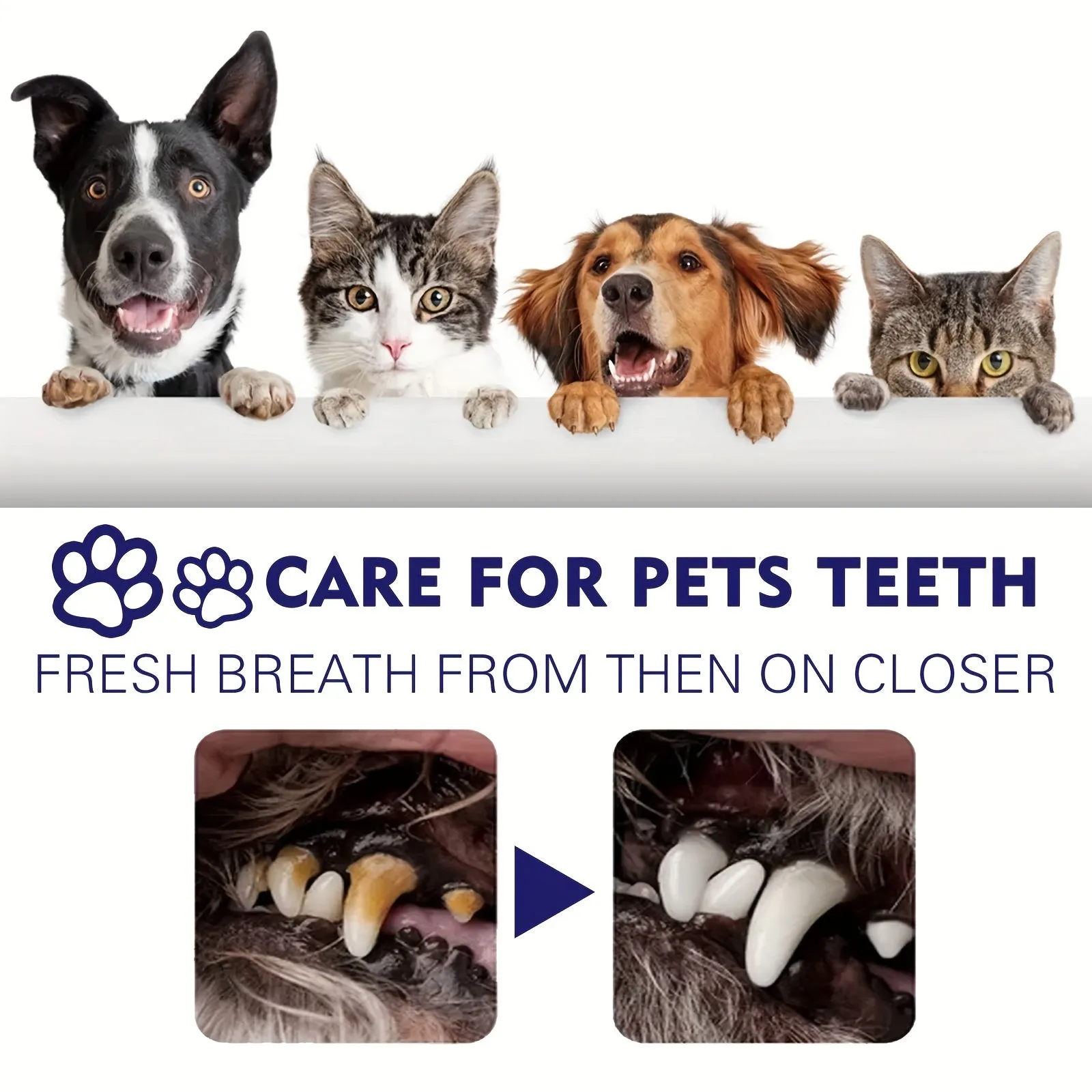 Fresh Breath Pet Toothpaste Dental Care for Clean Mouths