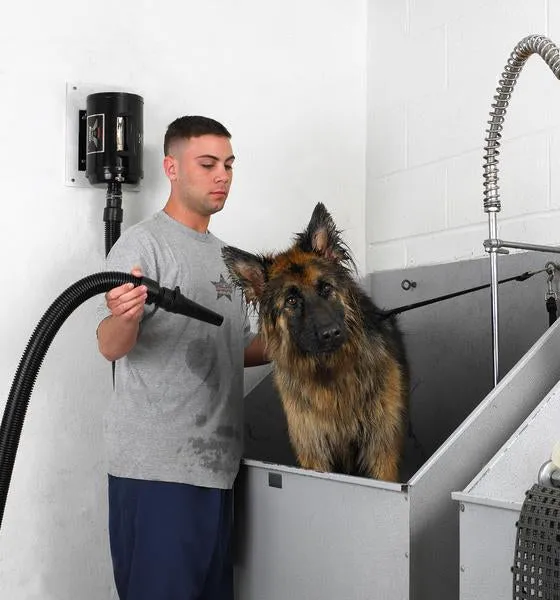 Metrovac Air Force Blaster Radiance Multi-Speed Pet & Dog Dryer