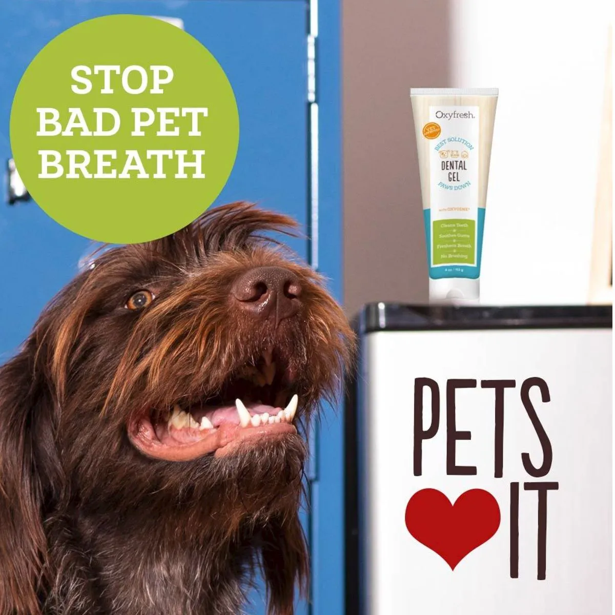 Oxyfresh Pet Dental Gel Toothpaste