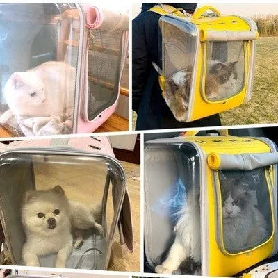 Pet bag cat go out portable backpack cat bag