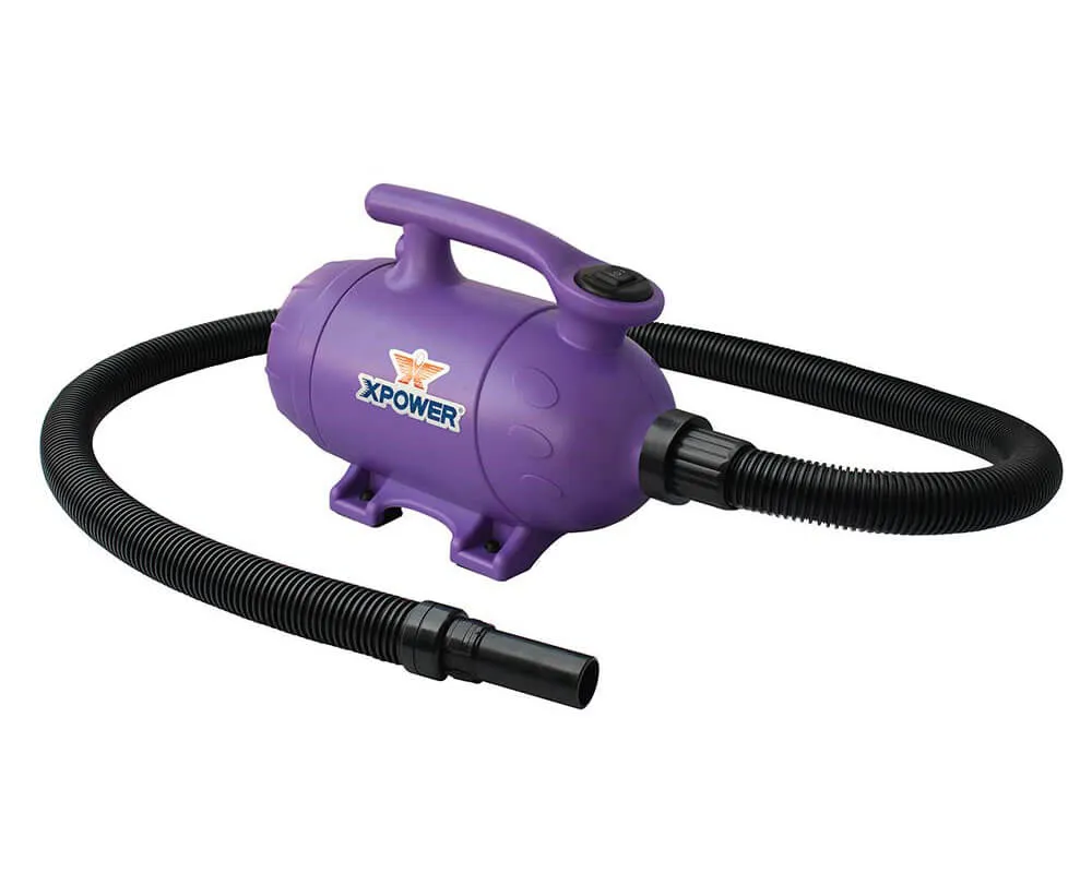 XPOWER B-2 2-in-1 Pet Force Hair Dryer and Vacuum
